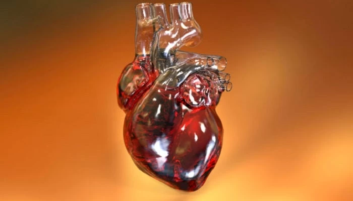 Στένωση αορτής: Ποιοι κινδυνεύουν και ποια είναι τα συμπτώματα